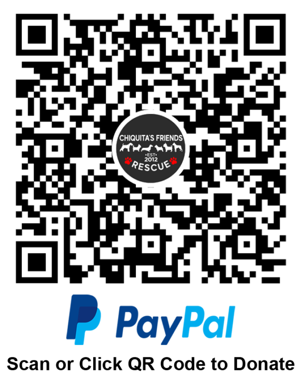 Chiquita's Friends Paypal QR and Link