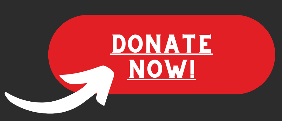 Donate Now_Button
